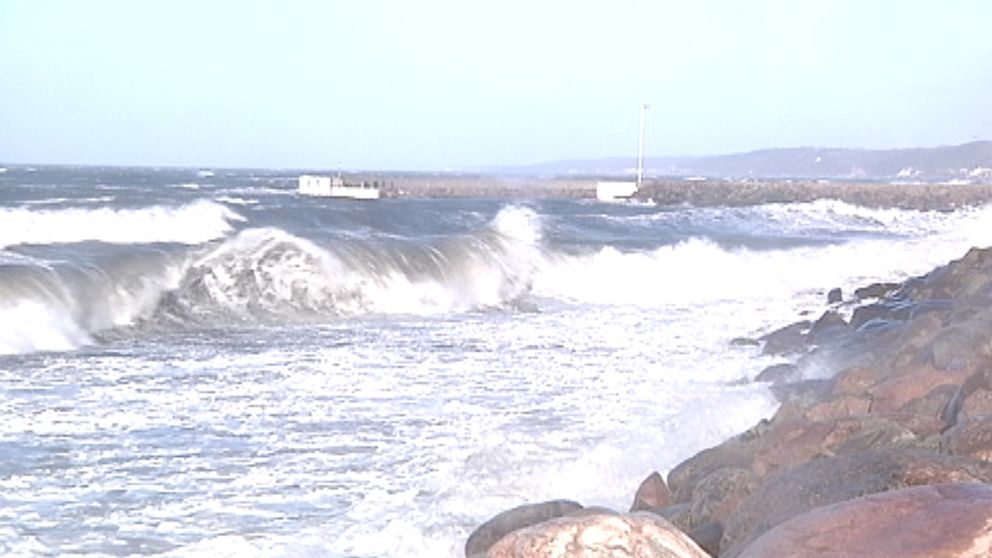Vågorna gick höga in mot land i den mycket hårda vinden i nordvästra Skåne den 31 januari.