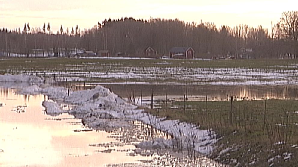 Blidvädret gav snösmältning och översvämning på Näsby gård i Ekeby utanför Kumla i Närke. Så här såg det ut på självaste nyårsdagen.
