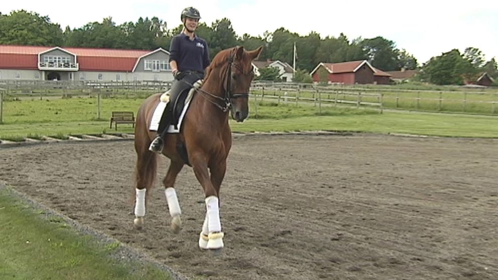 Josefin Gyllenswärd och hennes häst Don Angelo.