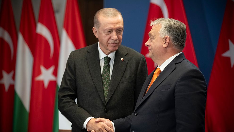 Recep Tayyip Erdogan och Viktor Orban