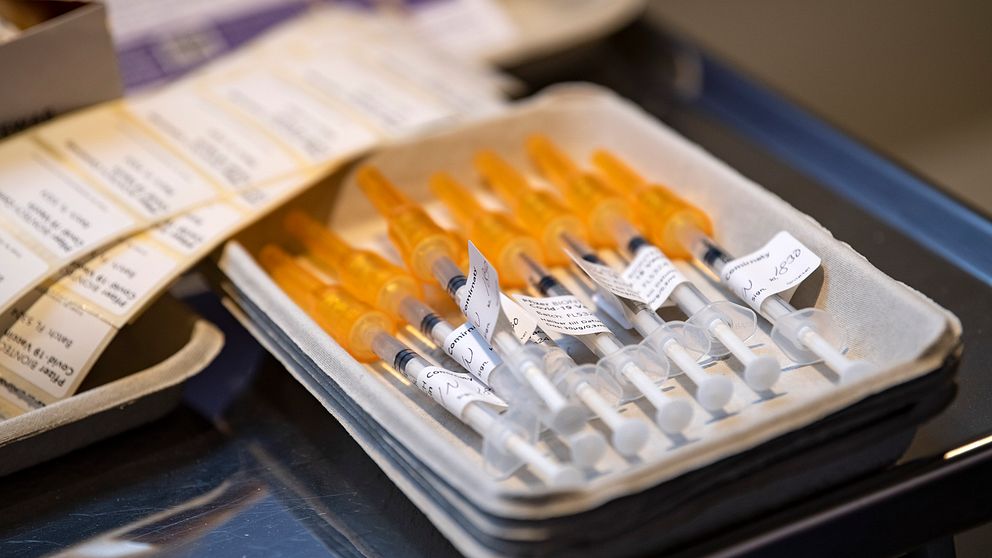 Färdigfyllda sprutor med orange skydd ligger i en bricka inför vaccination.