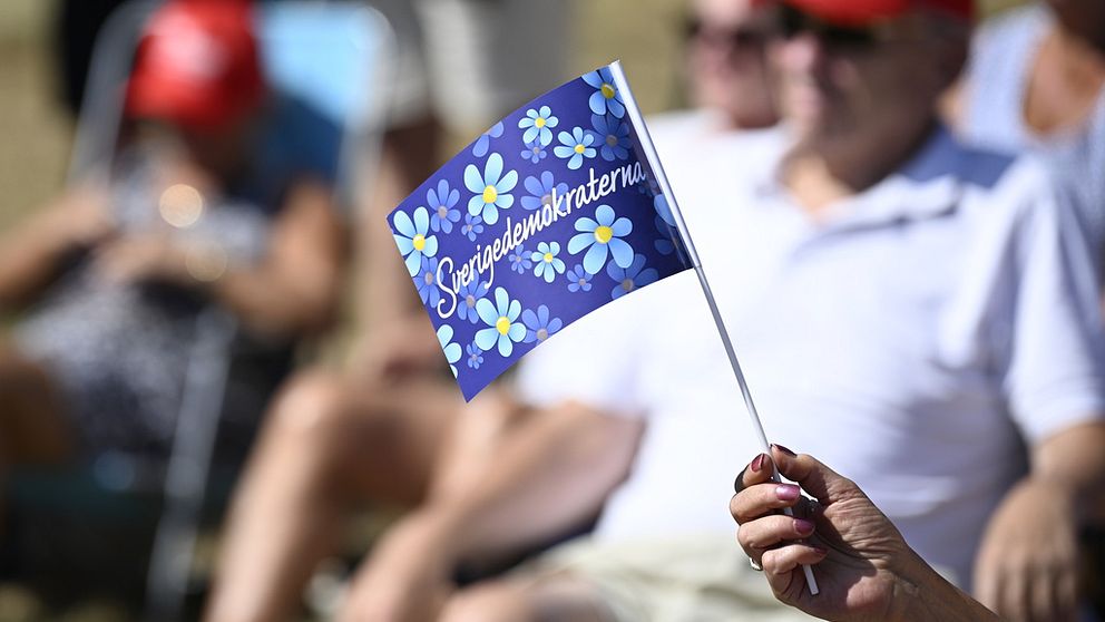 Sverigedemokraterna flagga