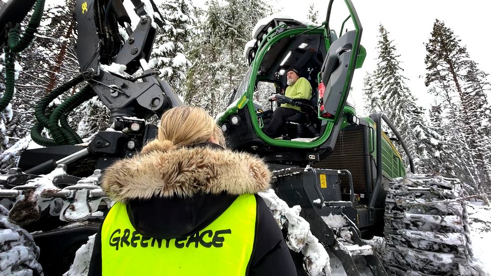 kvinna med reflexväst skogsskördare i skog