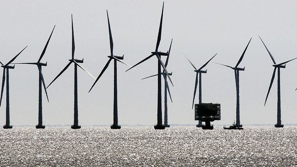 Arkivbild på vindkraftverk i havet.
