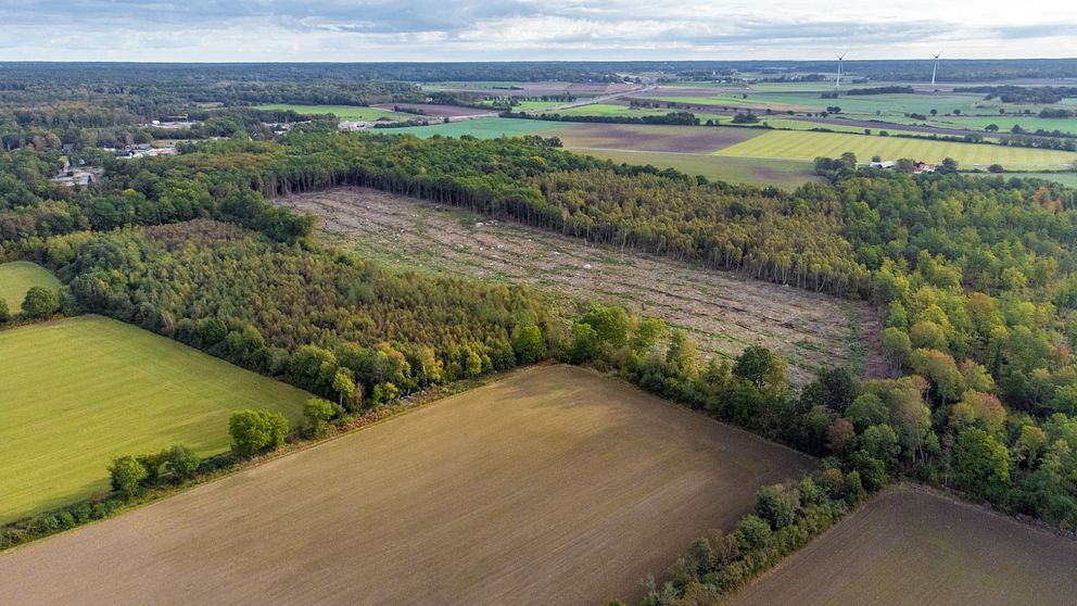 Flygbild över landskap med åkrar och skogsområde under molnig himmel. Drönarbild över området i Torstäva öster om Karlskrona där Karlskrona kommun planerar för 450 nya bostäder.