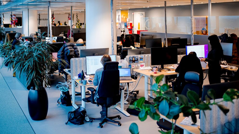 Öppen kontorsmiljö med anställda vid sina skrivbord. Växter delar upp arbetsstationerna.