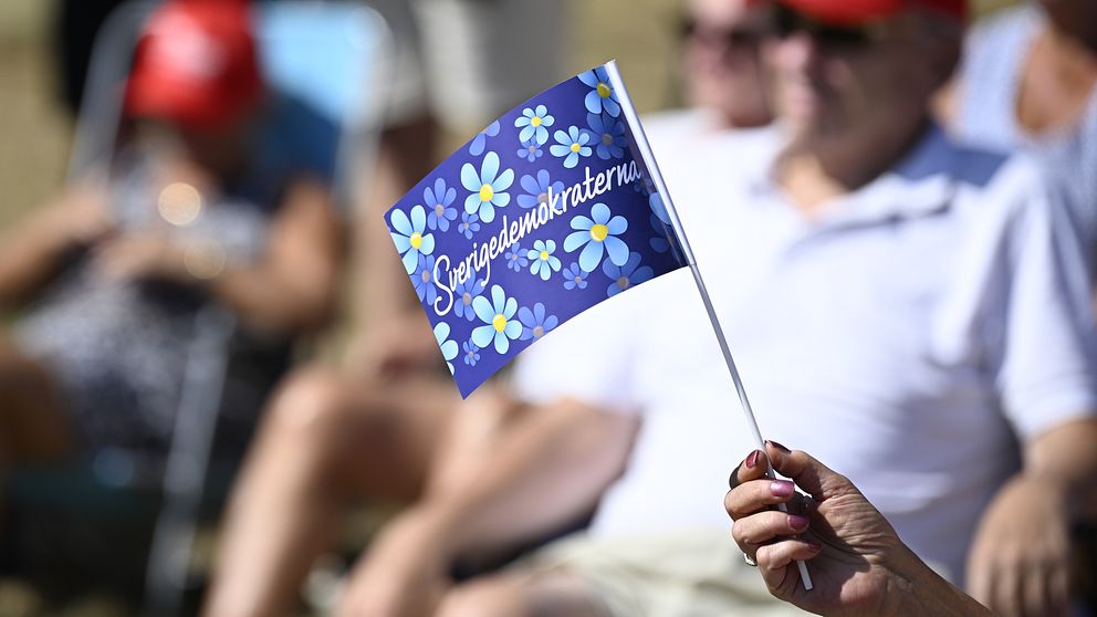 En bild på en flagga med sverigedemokraterna