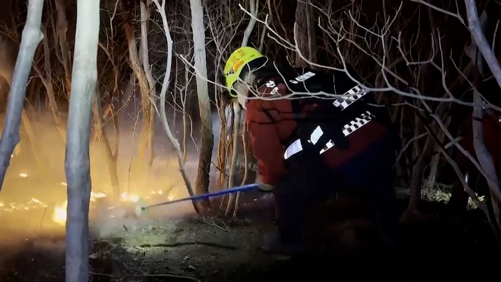 Brandman bekämpar elden i Sydkorea