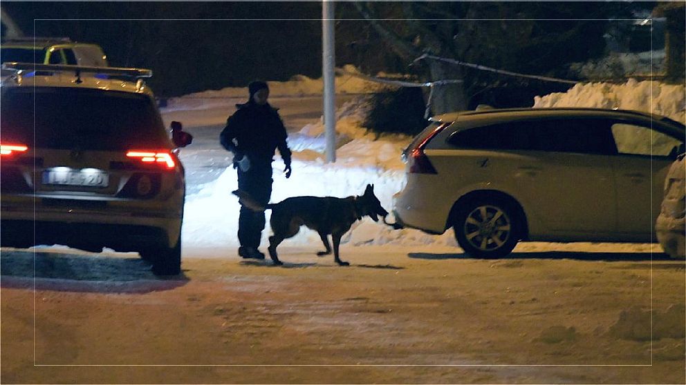Kvällsbild tagen i samband med brottsplatsundersökningen efter död kvinna hittades utomhus i Njurunda. Polis med schäferhund syns på bilden mellan två parkerade bilar.
