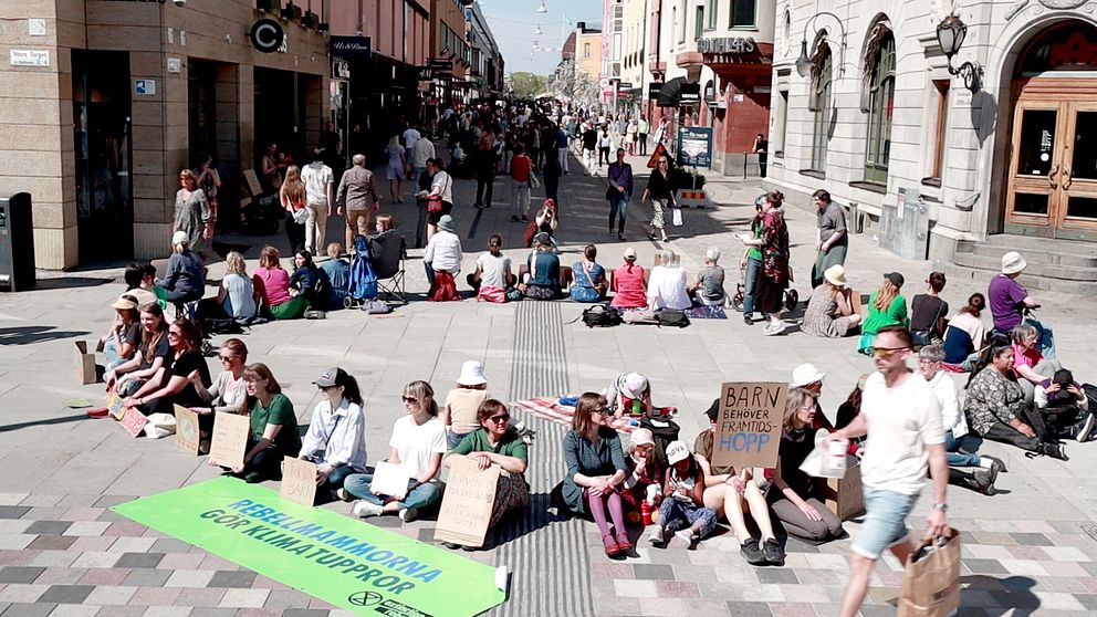 demonstranter i Uppsala