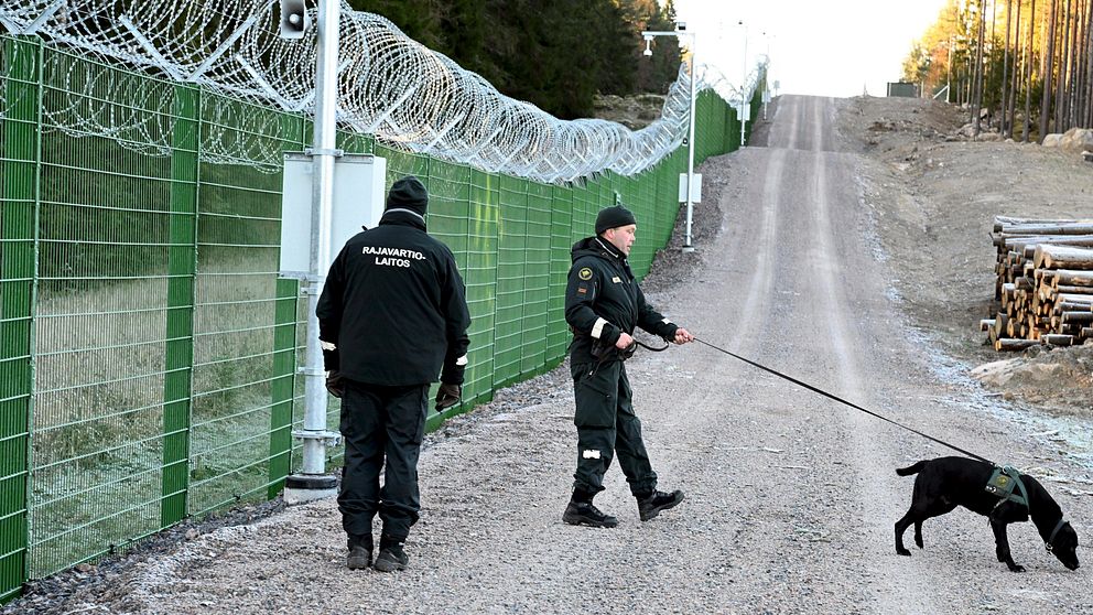 Gränsvakter patrullerar en stig vid ett taggtrådsstängsel, med en hund i koppel.