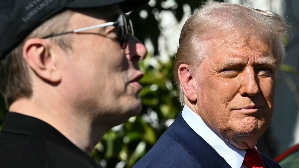 Närbild på Elon Musk och Donald Trump tillsammans utanför Vita huset. Musk bär solglasögon och Trump kollar åt hans håll.
