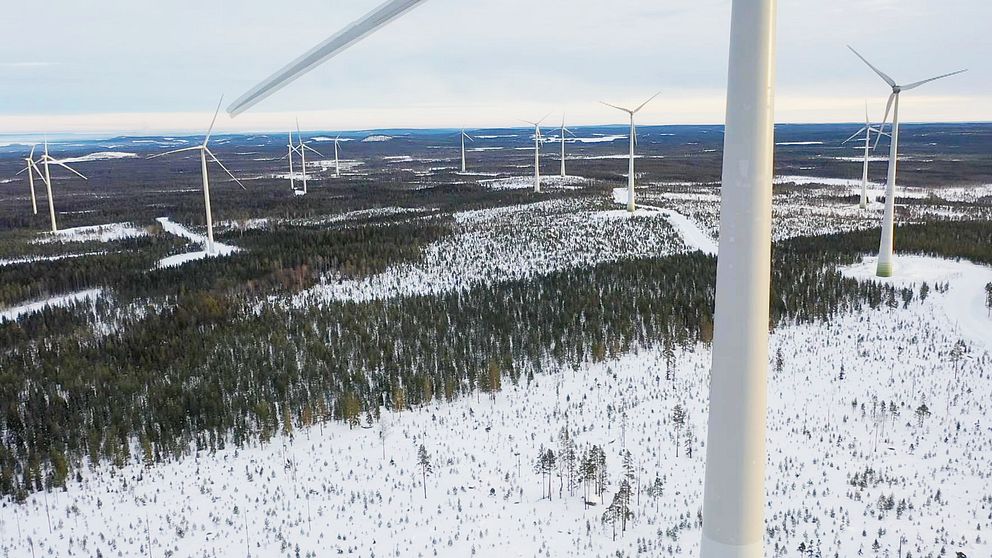 Vindkraftverk i Markbygden i Piteå – snurror, skog och hyggen med snö sett lite ovanifrån