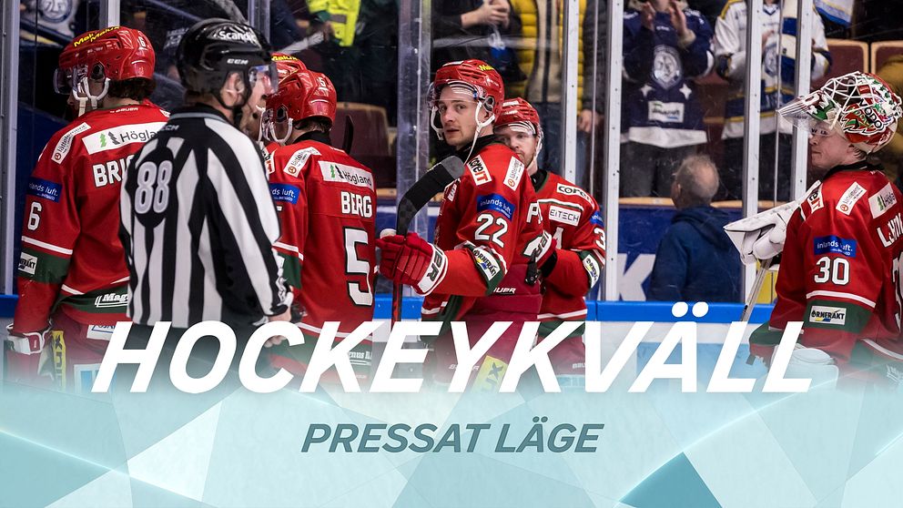 Frölunda värvar OS och VMguldmedaljör Ishockey SHL 2023/2024 SVT