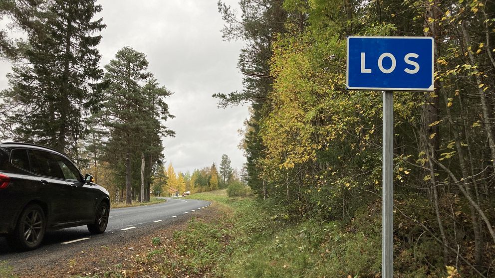 Thailändska bärplockare arbetar i Los.