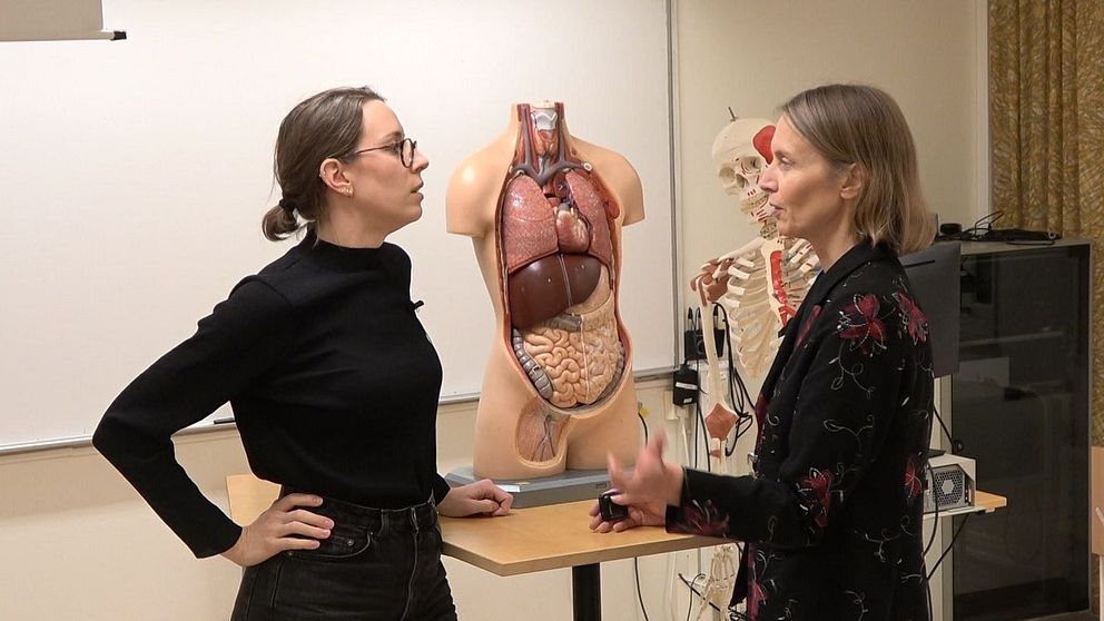 Två personer står och diskuterar i ett klassrum med anatomiska modeller i bakgrunden. En av modellerna visar den mänskliga kroppen med synliga organ som hjärta och lungor. Rummet är inrett för utbildning, med olika verktyg och resurser synliga.
