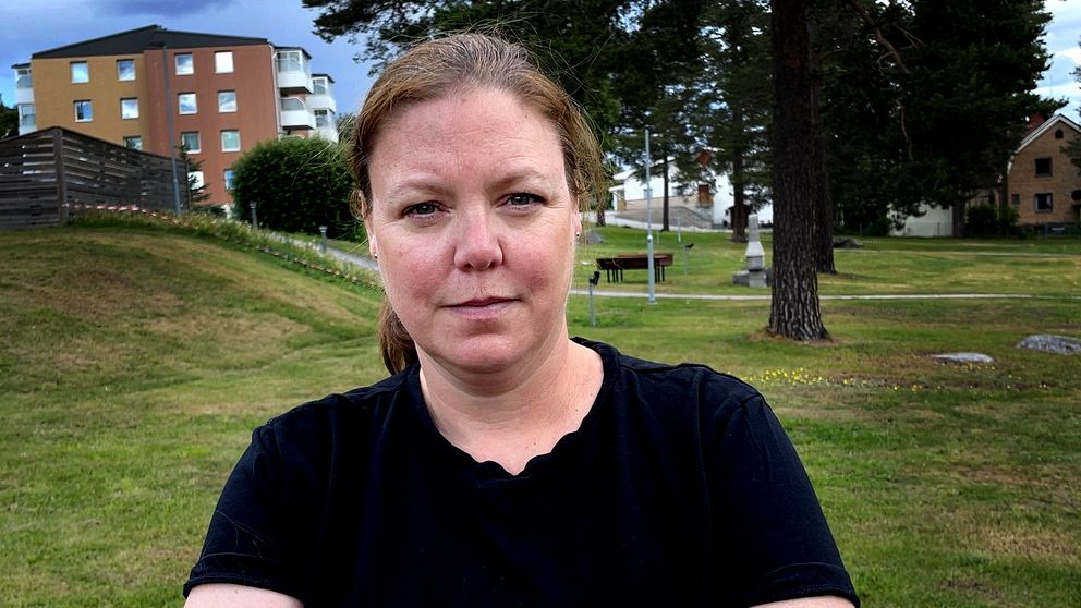 Ina Lindström Skandervall, Liberalerna