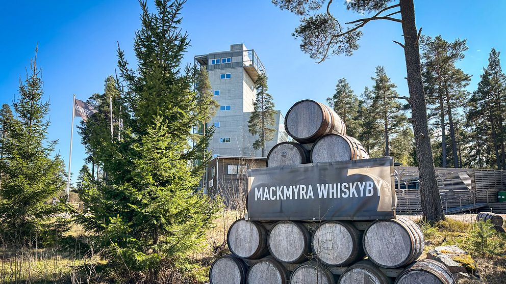 Whiskyfat staplade framför Mackmyra Whiskyby, med fabriksbyggnad och tallar i bakgrunden.