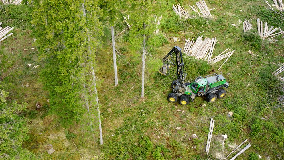 Skogsmaskin som arbetare i Hovmantorp.