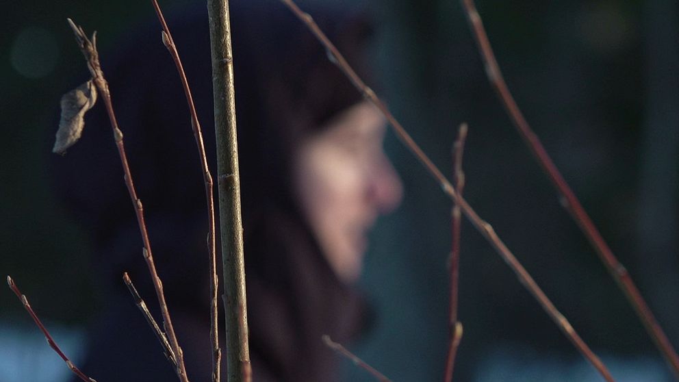 Närbild av tunna grenar i en skog med en mörk bakgrund där ett suddigt ansikte syns i bakgrunden.