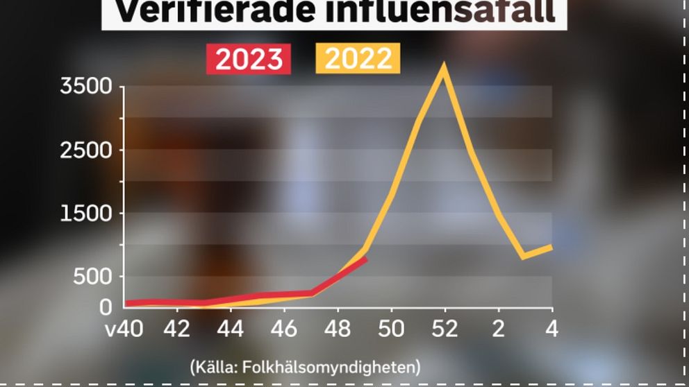 En gul kurva visar förra årets influensafall med en topp vid slutet av året. En röd kurva visar utvecklingen fram till vecka 49.