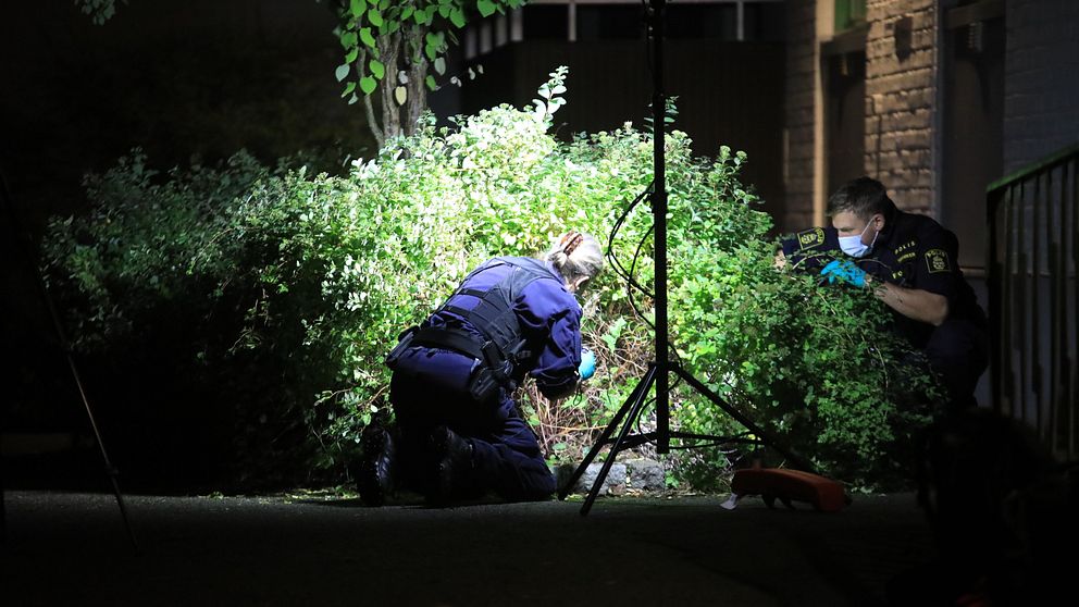 Polisens tekniker jobbar utanför en bostad, nerhukade mot marken