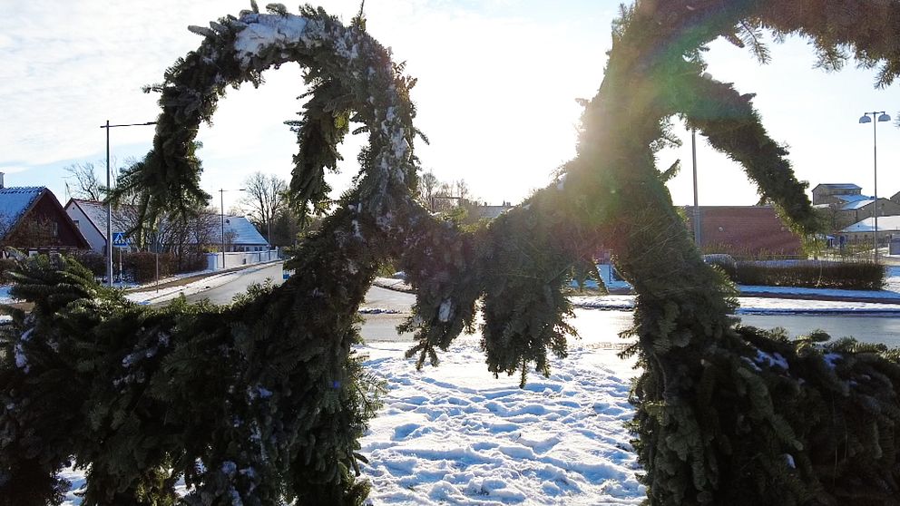 Julbockar i Solanumrondellen i Kävlinge som ”kysser” varandra