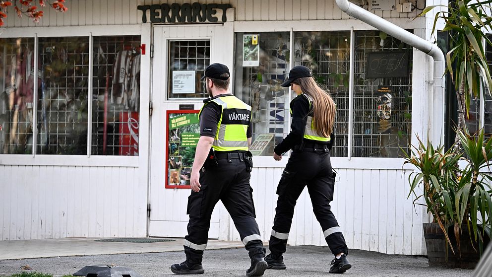 Väktare på jakt efter misstänkt orm i Eurovision Village.