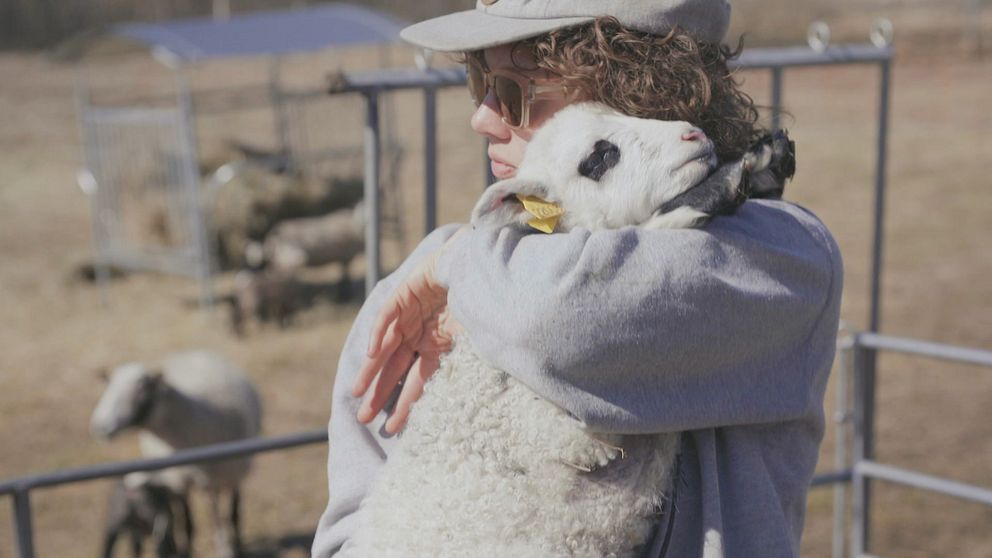Amanda Bergman står vid en fårhage och kramar ett får.
