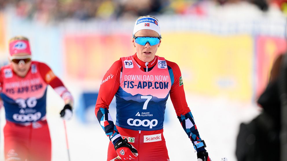 Anne Kjersti Kalvå