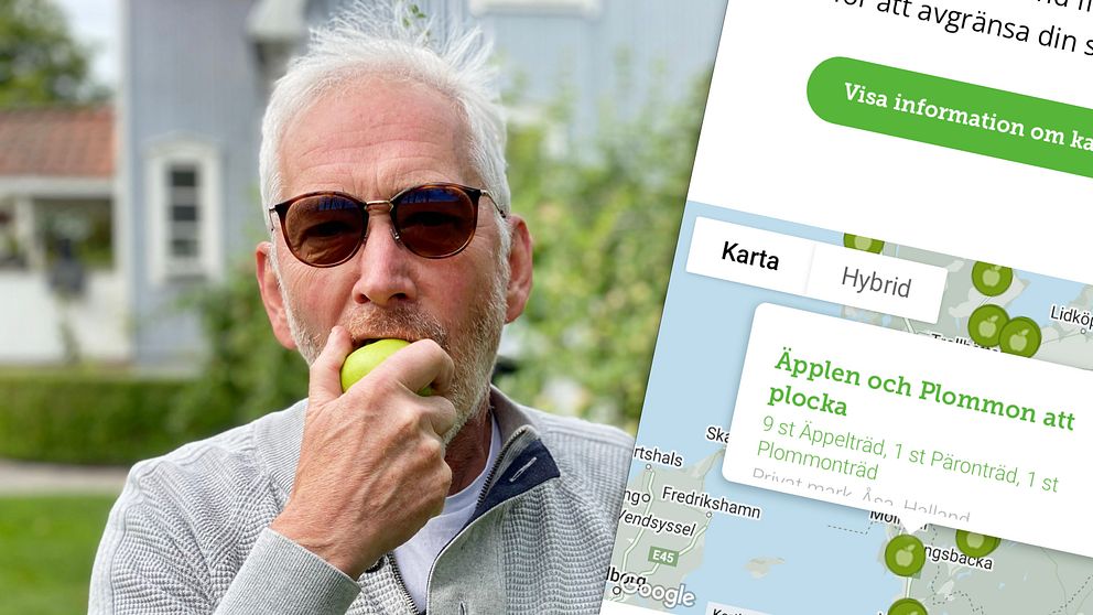 Man står i trädgård och äter ett äpple. I höger kant visas en del av internetsida med fruktförmedling.