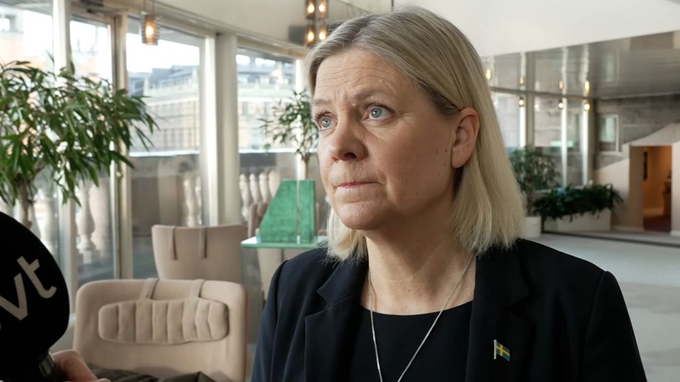 Person i svart kavaj intervjuas inomhus, grön växt i bakgrunden.