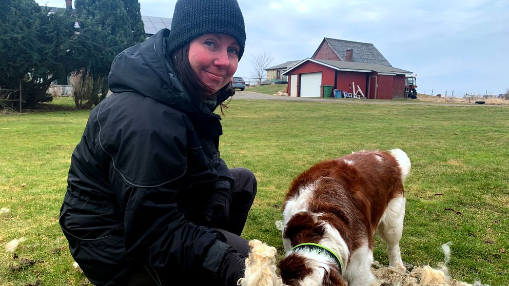 En kvinna sitter på knä i en trädgård med en hund. Hunden luktar på päls på marken.