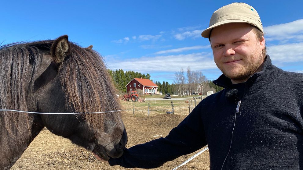 man med keps som klappar en brun häst