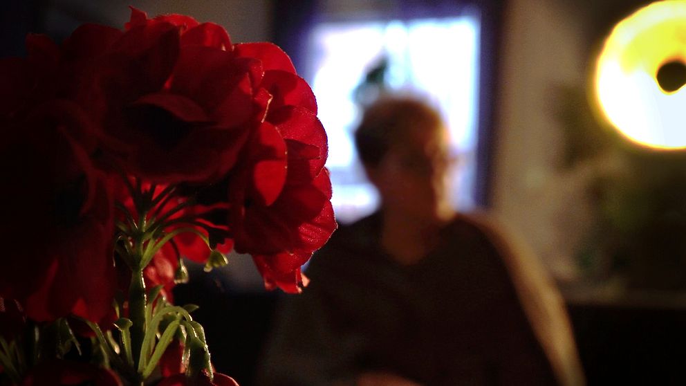 En röd blomma i förgrunden och en anonymiserad kvinna i bakgrunden, någonstans i Östersunds kommun.