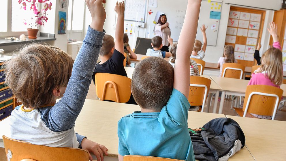 Elever i ett klassrum räcker upp händerna för att delta i undervisningen.