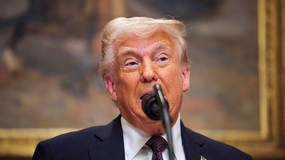 Donald Trump står framför mikrofon, rygg mot konstverk i guldram.