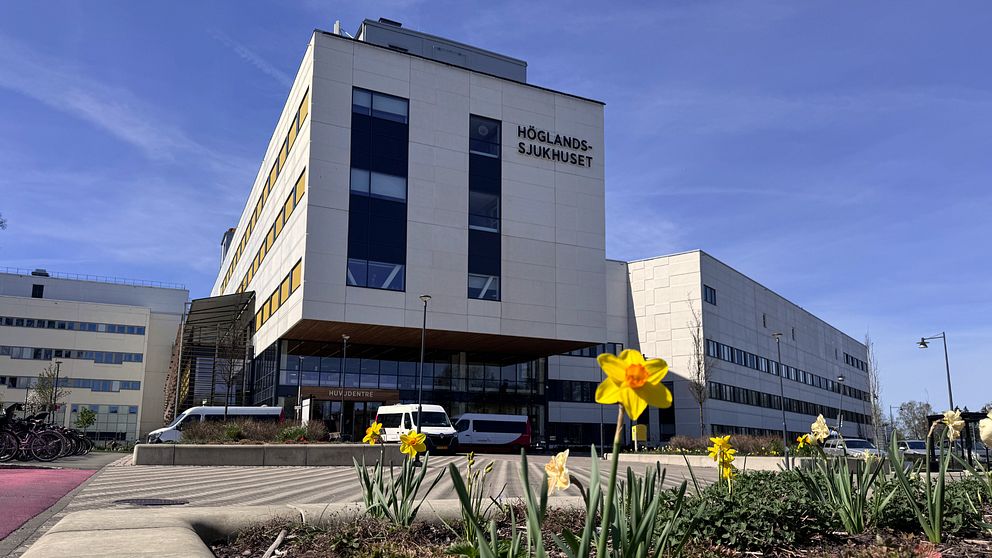 Bild på Höglandssjukhuset, och en påsklilja i förgrunden.