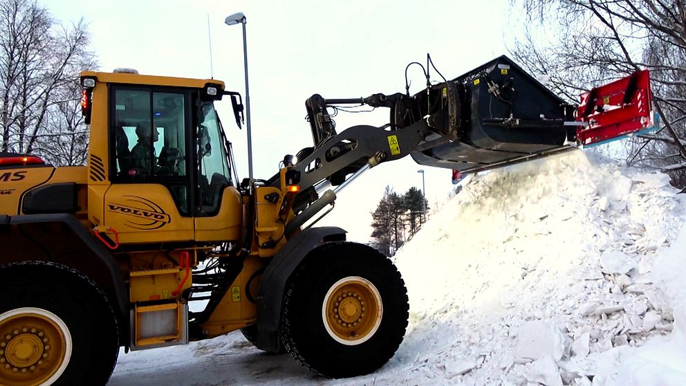 En förare som kör hjullastare i Luleå tippar snö i en jättehög.
