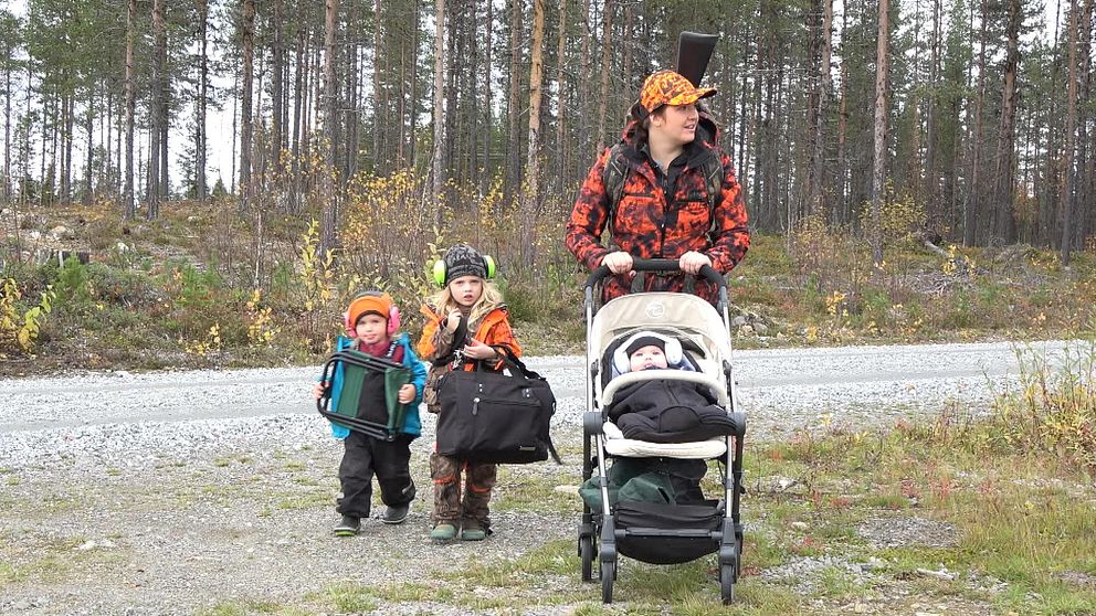 Emma i Storuman jagar älg med tre barn.