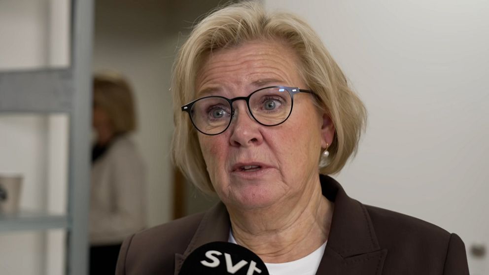 Petra Lundh, rikspolischef