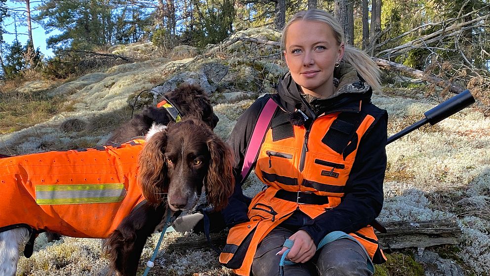 Person i orange jaktklädsel sitter på marken i skogen tillsammans med en hund iförd en orange väst. Skogen är bakgrund med träd och stenig terräng.