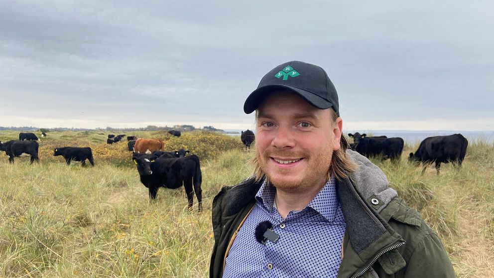 Andreas Måttgård står på en äng med flera svarta kor i bakgrunden. Landskapet är grönskande och himlen är molnig, vilket skapar en lugn och naturlig atmosfär.