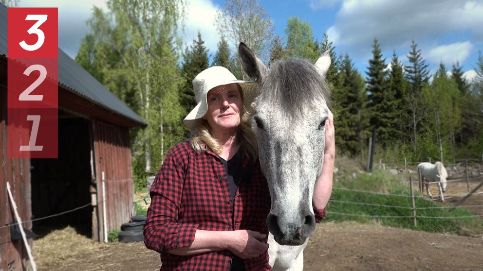 Person i röd skjorta står bredvid vit häst på gård med stall och träd i bakgrunden.