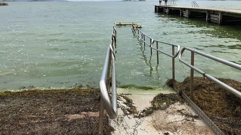 bild på strandkant med en ramp ner i vattnet
