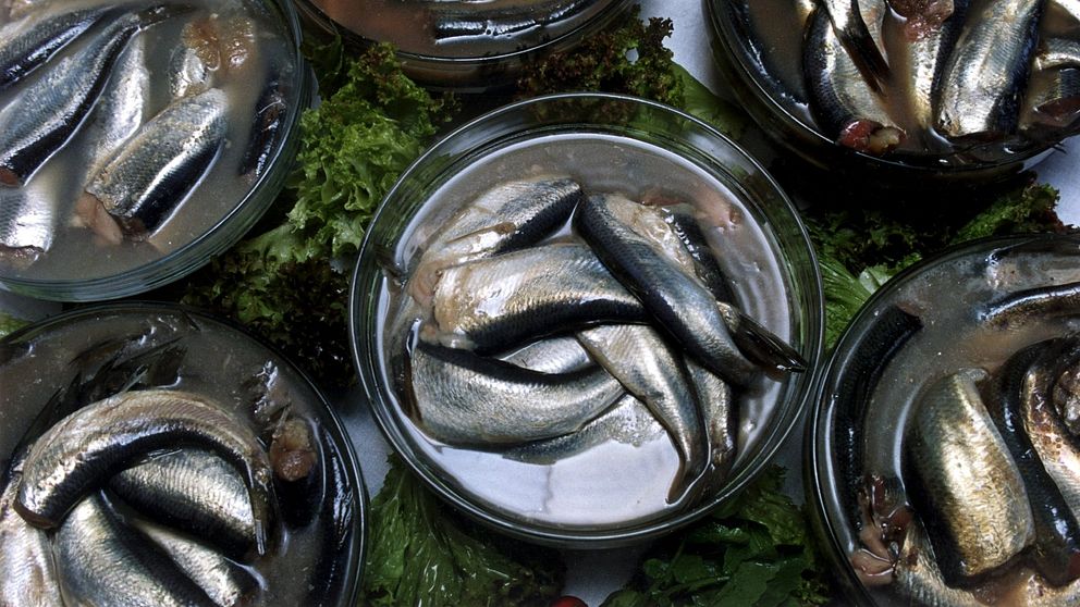 En burk surströmming.