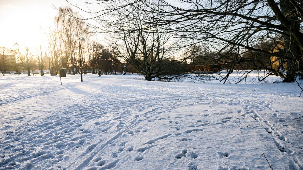 Snö i Pildammsparken i Malmö. Spår i snön.