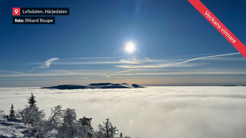 Tät dimma över dalen och strålande sol på toppen av backen . Lofsdalen, Härjedalen den 15/2.