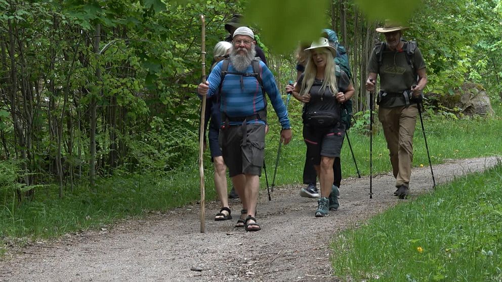 Den är Sveriges längsta pilgrimsled – och tusen år gammal. Nu rustas Romboleden som går mellan Köping och Trondheim.