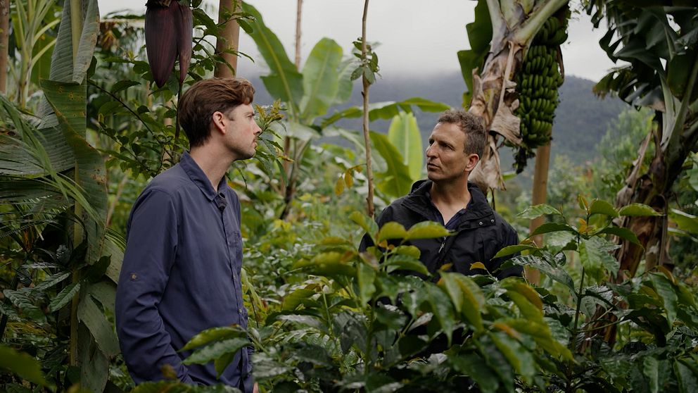 SVT:s korrespondent Tigran Feiler och entreprenören och kaffeodlaren